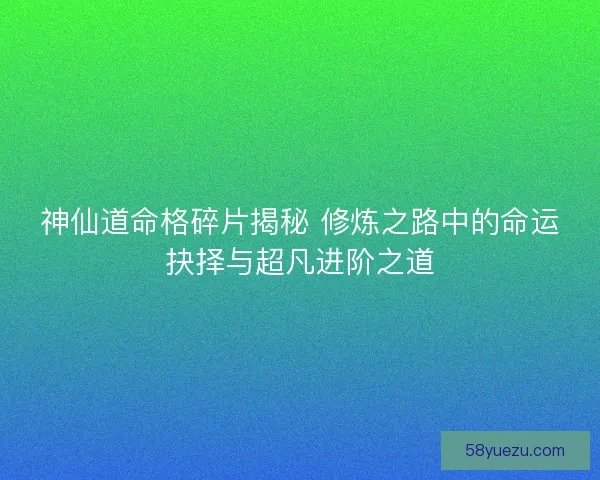 神仙道命格碎片揭秘 修炼之路中的命运抉择与超凡进阶之道