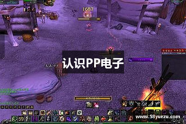 认识PP电子